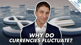 What Causes Currencies to Rise and Fall  FX 101 Finance Explained [upl. by Shore104]