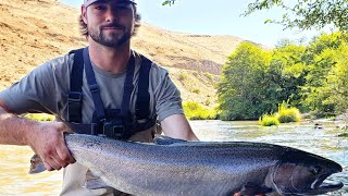 Deschutes River Steelhead Fishing [upl. by Suoicserp]