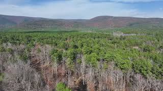 FOR SALE Building Acreage in Whispering Pines Subdivision  Ouachita National Forest [upl. by Deanna506]