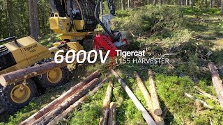 Log Max 6000V 2020  Tigercat 1165 [upl. by Aicenek]