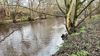 Mid winter fishing for Grayling in North East of England [upl. by Keon]