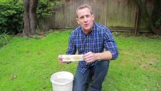 Nematodes for Lawn Grubs  NIC’s How to Apply [upl. by Cl]