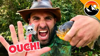 EATEN ALIVE  Human Hands vs Piranha [upl. by Rednasela450]