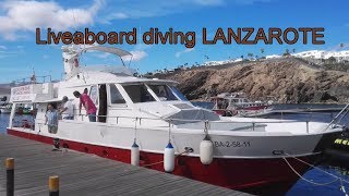 Liveaboard diving Lanzarote November 2017 [upl. by Araihc]