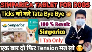 Simparica Tablet 💊 For Dogs  Ticks को करे Tata Bye Bye 👋  Dog Ticks Removal  100  Result dog [upl. by Elsie]