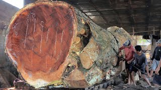 Tembus 1 jt dollar Amerika  Kayu termahal sebelum sonokeling  Kayu raksasa digergaji sawmill [upl. by Robina843]