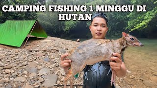 Camping Fishing 1 Minggu Hujan Deras Cuaca Buruk Bermalam di hutan Masak dan Makan Ikan Sungai [upl. by Neved673]