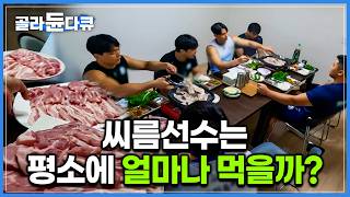 평소에 씨름선수들이 먹는 한 끼 양 엄청나다 삼시 세끼 고기반찬에 백두장사 급은 너무 많이 먹어서 아예 테이블을 따로 잡는다고｜추석 씨름 대회｜극한직업｜골라듄다큐 [upl. by Merl]