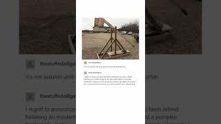 A Trebuchet Tumblr Post [upl. by Colas]