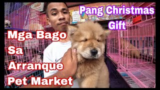 Arranque Pet Market Manila Price Update Dec16 2023 [upl. by Animehliw585]