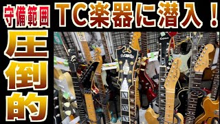 高級ビンテージギターからジャンク品まで！新大久保の宝島『TC楽器』の初売りに突撃してみたタメシビキ！圧倒的な守備範囲の品ぞろえからあなたの探していたあの機材が見つかるかもしれない動画！ [upl. by Artima]