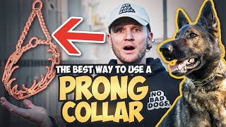 How to use the Prong Collar To Train Your Dog [upl. by Nessaj50]