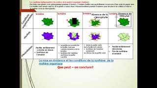 photosynthèse partie 1 er bac sciences expérimentales biof [upl. by Ayifas97]