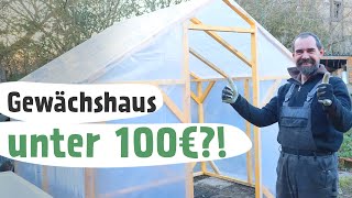 DIY Gewächshaus selber bauen für unter 100€ [upl. by Adnamas]