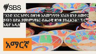 quotአንድ አገር እየኖሩ በቋንቋ አለመግባባት አገሪቱ ፀንታ ለመኖር ያላትን ዕድል ያመነምነዋል፤ ብሔራዊ ቋንቋ ያስፈልጋልquot ፕር አዴኖ አዲስ  SBS [upl. by Ydnam]