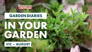 Gardening in August  VIC  Bunnings Garden Diary [upl. by Harli]