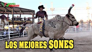 LOS MEJORES SONES EN EL JARIPEO ¡RECOPILACION [upl. by Garland]