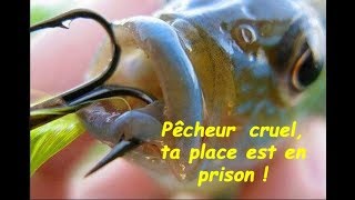 En prison les pêcheurs cruels [upl. by Romalda]