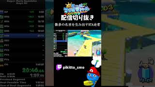 数多の名言を生み出すRTA走者shorts ＃実況 ＃解説 バグ 裏技 配信切り抜き supermariosunshine sms 最速 名言 [upl. by Alsi315]