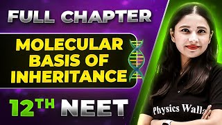 Molecular Basis of Inheritance FULL CHAPTER  Class 12th Botany  Lakshya NEET [upl. by Yunick247]