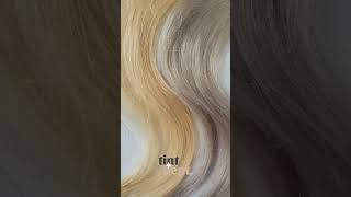 Wella T18 Lightest Ash Blonde Toner Before and After  how to remove yellow brassy tones at home [upl. by Zalucki]