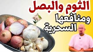 المنافع الصحية للثوم والبصل ولأمراض التي يمكن علاجها بالثوم البصل الدكتور عماد ميزاب🧄🧅 Dr Imad Mizab [upl. by Goda]