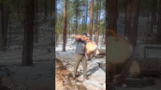 Firewood cutting ❤️ 🙏 [upl. by Enellij]