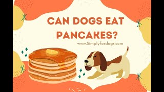 Can Dogs Eat Pancakes [upl. by Evelyn739]