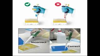 Correct Way During Working with Micropipette [upl. by Schiffman65]