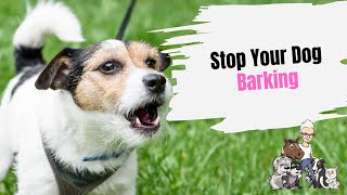 Episode 71 Stop Your Dog Barking with the Citronella Dog Training Collar [upl. by Vipul814]