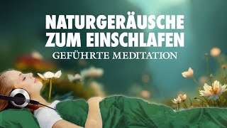 Einschlafen mit Naturgeräuschen  Geführte Meditation zum Einschlafen [upl. by Jacquenette]