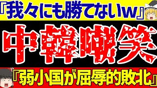 【アジア最終予選】サッカー日本代表に完敗したインドネシアに中国と韓国の反応がヤバイ【ゆっくりサッカー解説】 [upl. by Nealson]