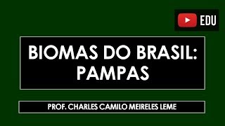 BIOMAS DO BRASIL PAMPAS [upl. by Enehs]