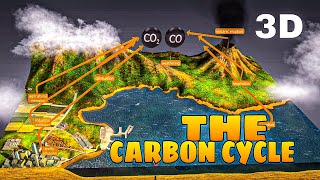 Carbon cycle in 3D। Nitrification DenitrificationAmmonification। Mr Angry। 3D animation। [upl. by Solegnave713]