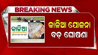 Kalia Yojana New Update 26 December  Kalia Yojana Online Apply 2024  Odisha TV [upl. by Dyna678]