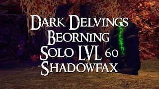 Dark Delvings  Solo Beorning LVL 60  Shadowfax  LOTRO [upl. by Kati]