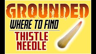 Thistle needle Grounded location  Where to find thistle needles in grounded [upl. by Payton]