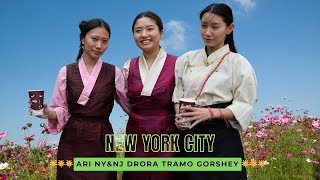 Ari NYampNJ Drora Tramo Gorshey Part 22  ཨ་རིའི་ནིའུ་ཡོག་ནིའུ་འཇར་སི་བྲོ་ར་ཁྲ་མོའི་སྒོར་གཞས། Gorshey [upl. by Aurelie]