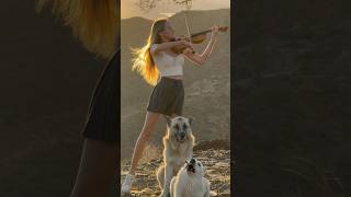 Playing Ennio Morricone  For a Few Dollars More with beautiful sunset…and dogs 🎻 shorts violin [upl. by Mohsen]