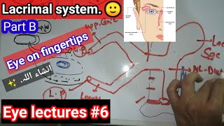 Eye lectures 6 nasolacrimal duct regurgitation test nasolacrimal blockage of nasolacrimal duct [upl. by Srednas]