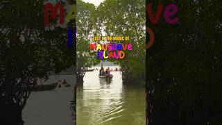 MANGROVE ISLAND  Paravur  Varkala mangroveforest varkalabeach varkalacliff vibe keralatourism [upl. by Aleen]