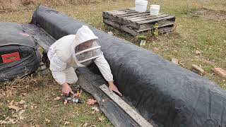 Wrapping the bee hives to get ready for Canadian winter [upl. by Aicenav]