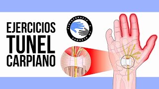 Los mejores ejercicios para el sindrome del tunel carpiano [upl. by Nileve]