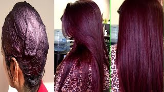 How To Colour Your Hair Naturally At Home  100  Natural Burgundy Colour With Henna  PRIYA MALIK [upl. by Ayekat393]