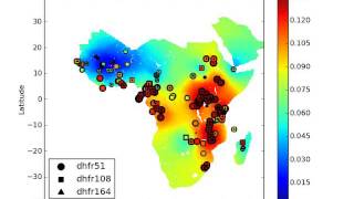 Prevalence of antimalarial drug resistance markers dhfr gene for sulphadoxine pyrimethamine [upl. by Nya]