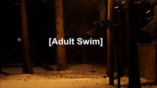 Adult Swim Bump  White Winter [upl. by Upshaw]