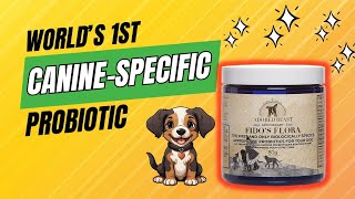 Fidos Flora  Worlds 1st CanineSpecific Probiotic The best probiotic for any dog on antibiotics [upl. by Assyn]