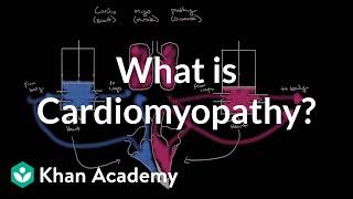 What is cardiomyopathy  Circulatory System and Disease  NCLEXRN  Khan Academy [upl. by Ilwain]