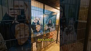 ZOOLÓGICO HUMANO [upl. by Nref]