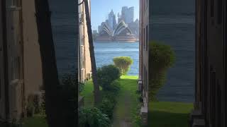 Brush turkey with Sydney Opera House view  Kirribilli Sydney Australia [upl. by Iarised205]